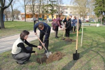 У Луцьку стартує загальноміська акція «Екологічний квартал»