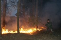 На Волині горять ліси, лісівники б’ють на сполох