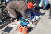 На Волині продавці стихійного ринку самі попросили владу узаконити торгівлю