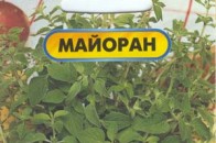 З Польщі везуть неякісне насіння