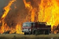 На Волині місцевих голів штрафуватимуть за виникнення пожеж