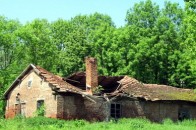 За минулий рік кількість селянських господарств на Волині скоротилася на 3,6 тисячі