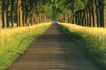 До Великодня на Волині обіцяють відремонтувати дороги до храмів та цвинтарів