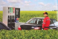 В Україні вироблятимуть біопаливо з цукрового буряка