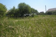 У Луцькій міськраді лежить 1500 заяв на виділення земельних ділянок
