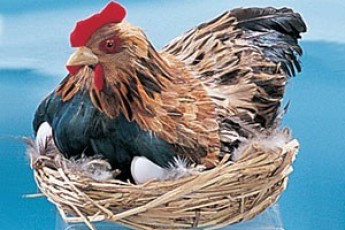 Сама звила – сама сіла: у Луцьку фінансистка очолила нікому не потрібний орган міськради