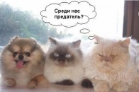 «Помаранчеві» перебігають у руки Януковича