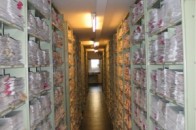 Волинському архіву можуть підкинути ще понад 200 тисяч гривень
