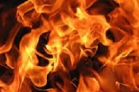 На Рівненщині вогонь знищив 36 га кущів смородини