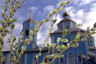 Сьогодні Україна святкує Вербну неділю