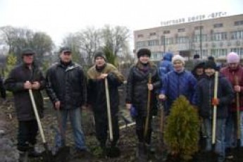 Волиняни активно прибирають і висаджують дерева