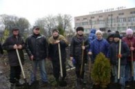 Волиняни активно прибирають і висаджують дерева