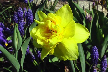 Завтра на заході України до 21° тепла