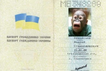 В Україні відкрито торгують «підробками»