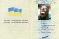 В Україні відкрито торгують «підробками»