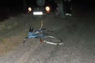 На Волині двоє велосипедистів загинуло під колесами авто