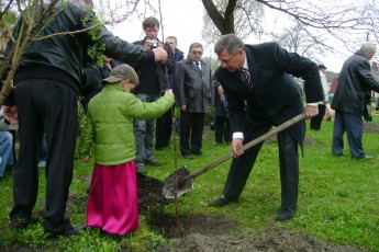 У Луцьку з’явився новий фруктовий сад
