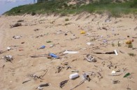 Одеса готується за кілька днів розпочати  курортний сезон