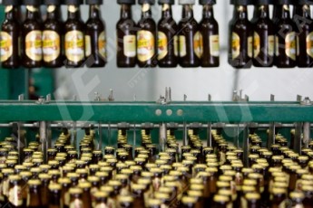 Волинські пивовари сплатили до бюджету 187 тисяч гривень акцизного збору