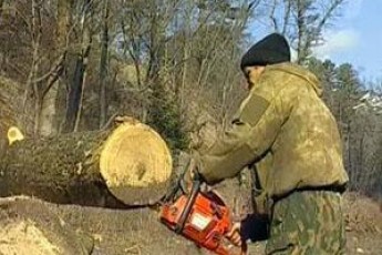 Виявляється, сільські лісівники отримують ледь не найбільшу зарплату на Волині