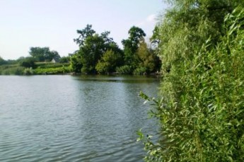 На Волині в гідрологічному заказнику виявлене незаконне будівництво