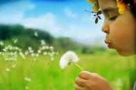 В Острозі збиратимуть гроші для важкохворих дітей