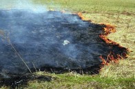 За спалення трави на Волині порушили кримінальну справу