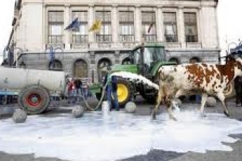 На Рівненщині орудує мафія… молочна