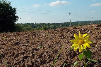 У Волинській області на розмежування земель державної та комунальної власності спрямовано 140,6 тис. гривень