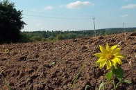 У Волинській області на розмежування земель державної та комунальної власності спрямовано 140,6 тис. гривень