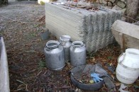 Cеляни Шацького району Волині відмовляються здавати молоко за безцінь