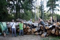 Сьогодні захисники лісу з колодами підуть на Прокуратуру Києва