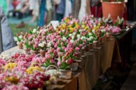 Луцькі пенсіонери-квітникарі просять місця для торгівлі