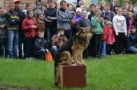 У Квасилові відбулося відкриття чемпіонату Рівненської області з боротьби Самбо
