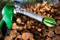 Україна розвиватиме виробництво біопалива