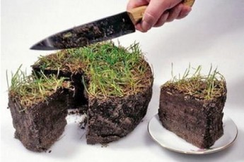 У Луцьку на продаж збираються виставити ще 7 земельних ділянок комунальної власності