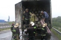 На Рівненщині на трасі Київ-Чоп горіла вантажівка