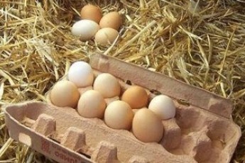 Яйця на Волині подешевшали на 36%