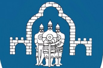 Ратнівська райрада одноголосно підтримала звернення щодо недопустимості наступу на українську мову