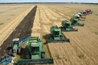 Через тиждень почнеться збір врожаю зерна - очікується зібрати більше 45 мільйонів тонн