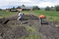 На Волині знайшли рештки з часів литовсько-польської доби