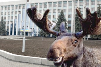 У Рівному міліція уже кілька днів ганяється за лосем