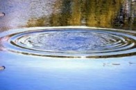 За добу на ставках Рівненщини втопилося троє людей, один з них - 5-річний хлопчик