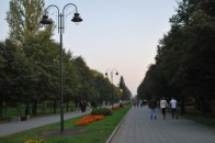 Лучанам пообіцяли навести лад з парками у місті