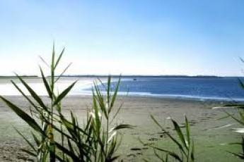 Для порятунку Молочного лиману прориють новий канал з Азовського моря.