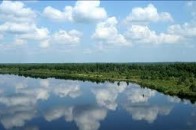 Волинська прокуратура перевіряє екологічний стан річки Прип'ять