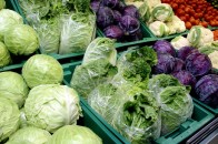 Польська капуста на ринках втричі дешевша від української