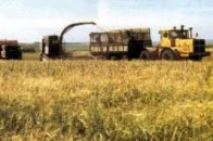 У 2012 році обсяги посівних площ на Волині зросли на 20 тисяч гектарів