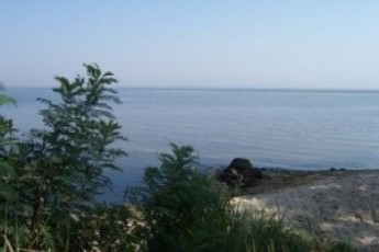 У селі Януковича укріплять береги за 2,5 мільйона гривень