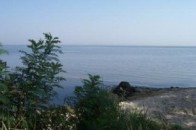 У селі Януковича укріплять береги за 2,5 мільйона гривень